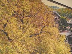 -渔掌门(铁东店)