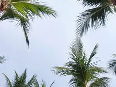 -巴拉湾海滩