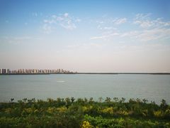 -天津东丽湖风景区