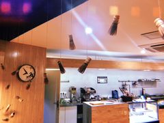 -柴务处·柴犬主题狗咖