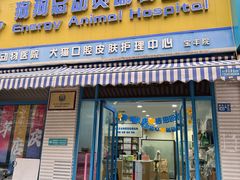 -总动员动物医院(宝丰院店)