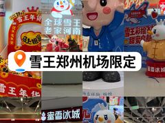 -郑州新郑国际机场-T2航站楼
