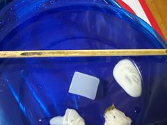 -严氏皓杰水牛奶(温岭店)