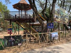 -西双版纳傣族园