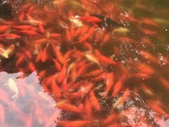 -昆明动物园