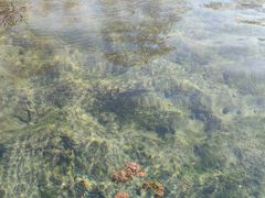 -济南野生动物世界