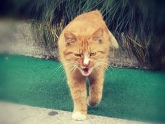 -苏州河梦清园环保主题公园