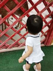 -萌宠亲子动物乐园(槐房万达店)