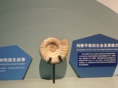 -云南省博物馆