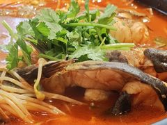 酸汤鱼-贵州大厦贵州厅(樱花园西街店)