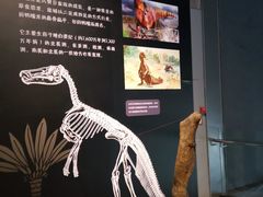 -中华赏石园