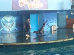 -苏州海洋馆