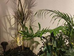 -漫笙舍Manse·咖啡·民宿