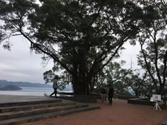 -大埔公路-马料水段香港中文大学(公交站)