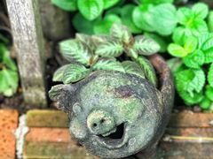 景点-清迈女子监狱马杀鸡(无分店)