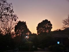 -杭州半山国家森林公园