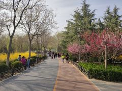 -大兴滨河森林公园