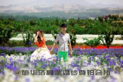 -施华洛婚纱摄影会所(范阳中路店)