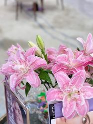 -星和深湾荟医疗美容