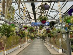 -南宫五洲植物乐园