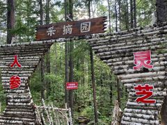 -峡谷浮石林景区