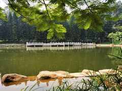 -三水森林公园