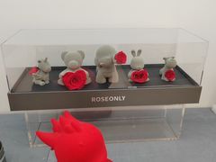 -ROSEONLY诺誓(广州K11店)