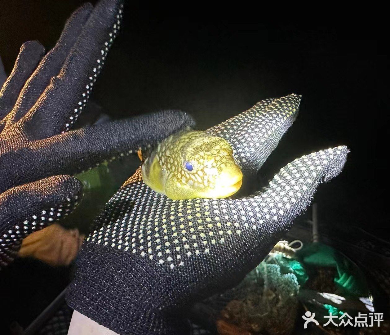 这样的赶海应该没有人不喜欢吧(2)图文篇🥰🥰🥰