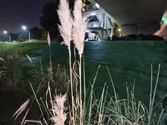 -南京眼步行桥