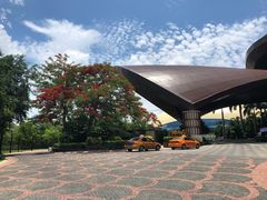 -海棠湾洲际-涛·海底餐厅·美人鱼·自助餐·海底隧道