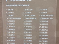 -中国地质博物馆