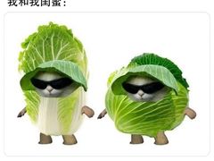 -蛙三泡椒牛蛙(万象城店)