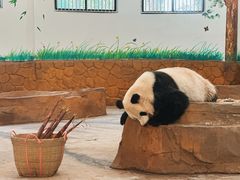 -安吉竹博园