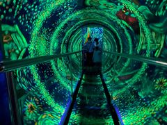 -梵高星空艺术馆(北京旗舰店)