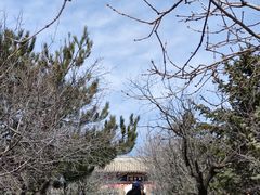 -妙峰山风景名胜区