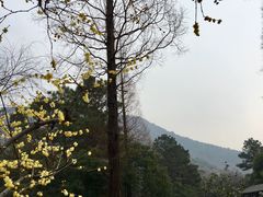 -宝岩生态观光园