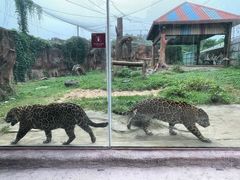 -杭州野生动物世界