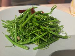拍蒜炝炒辣木春苗-润记·广东餐馆(苏州中心店)