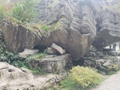 -梭布垭石林景区