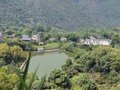 -南山植物园
