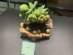-大连自然博物馆