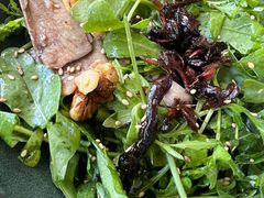 芝麻菜牛舌-Ameigo梅果·云贵川bistro(长宁来福士店)