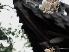 -何园