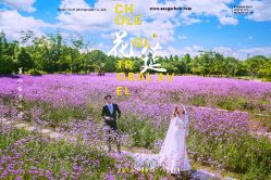 -伊莎贝尔品牌婚纱摄影