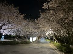 -南京四方酒店-傲途格精选·椽宫中餐厅