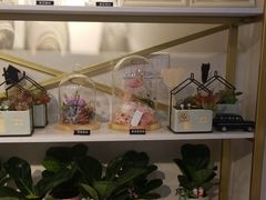 -花未央花店·WEYOUNG