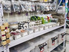-钓仓鼠(洋桥北里小区店)
