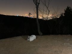 -鬼笑石后山停车场