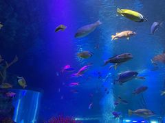 -沈阳海洋探索中心