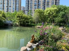 -洋湖国家湿地公园